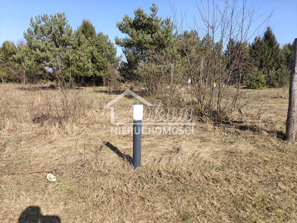 Działka budowlana 1777&nbsp;m², Żółwia Błoć - zdjęcie 2