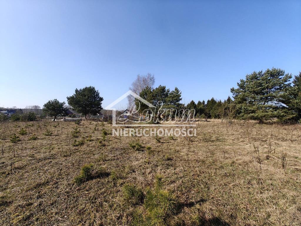 Działka budowlana 1777&nbsp;m², Żółwia Błoć - zdjęcie 3