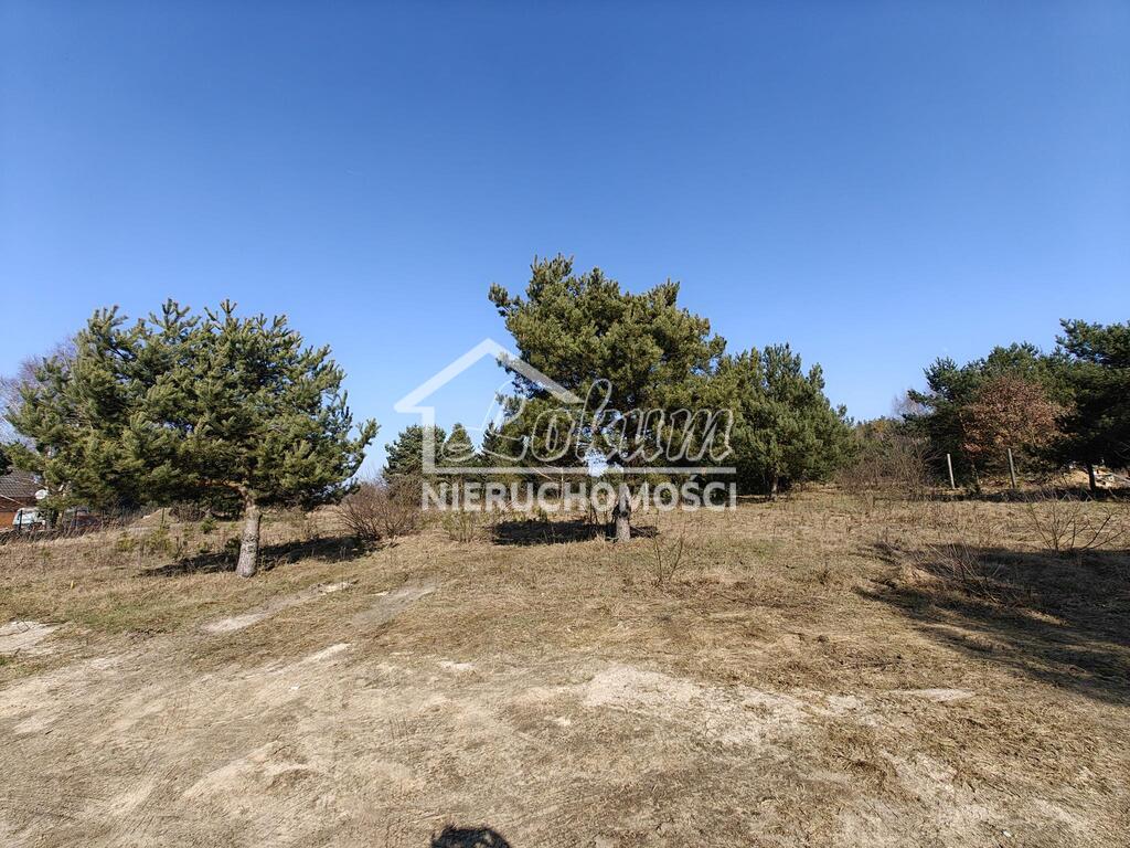 Działka budowlana 1777&nbsp;m², Żółwia Błoć - zdjęcie 5