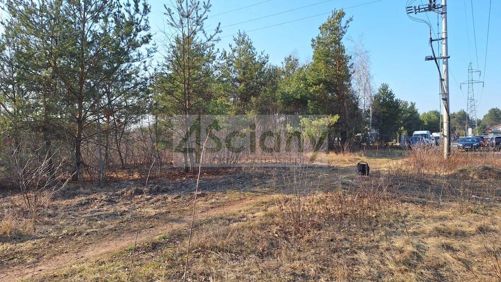 Działka budowlana 1366&nbsp;m², Michałów-Reginów - zdjęcie 2