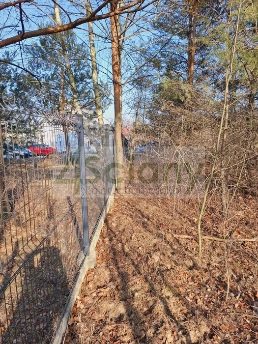 Działka budowlana 1366&nbsp;m², Michałów-Reginów - zdjęcie 4