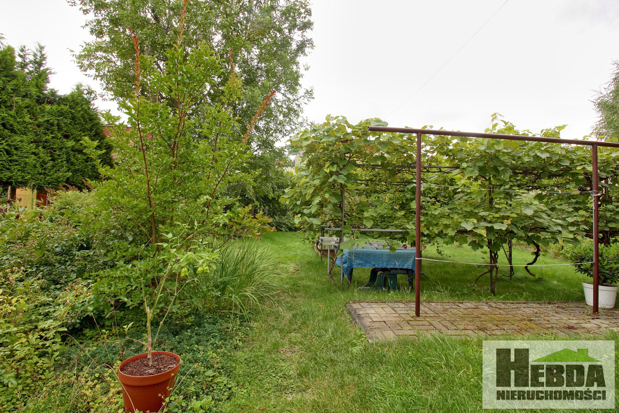 Dom do zamieszkania lub pod działalność !!! Centrum !!! - zdjęcie 18