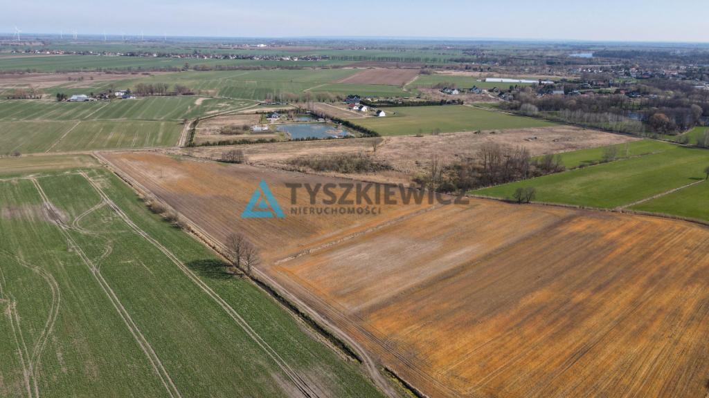 Działka rolna idealna pod uprawy - Cisy, Malbork - zdjęcie 5