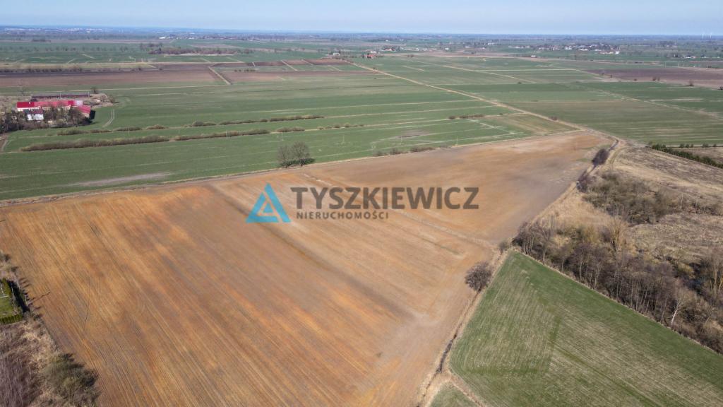 Działka rolna idealna pod uprawy - Cisy, Malbork - zdjęcie 8
