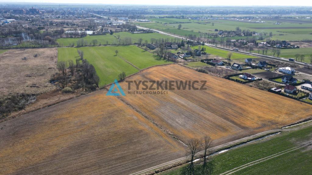 Działka rolna idealna pod uprawy - Cisy, Malbork - zdjęcie 3