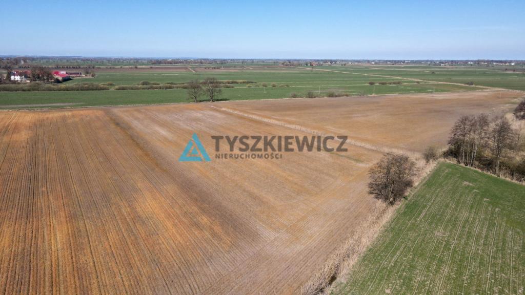 Działka rolna idealna pod uprawy - Cisy, Malbork - zdjęcie 7