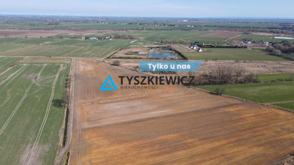 Działka rolna idealna pod uprawy - Cisy, Malbork - zdjęcie 1