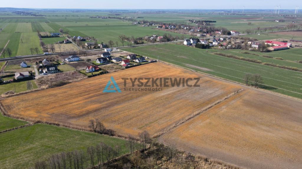 Działka rolna idealna pod uprawy - Cisy, Malbork - zdjęcie 10