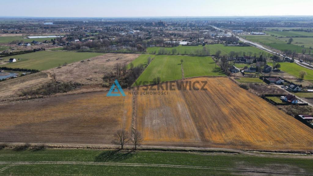 Działka rolna idealna pod uprawy - Cisy, Malbork - zdjęcie 4