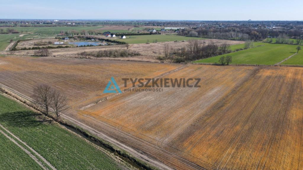 Działka rolna idealna pod uprawy - Cisy, Malbork - zdjęcie 6
