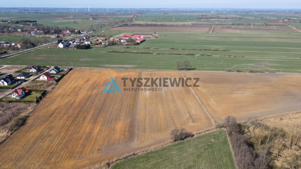 Działka rolna idealna pod uprawy - Cisy, Malbork - zdjęcie 9