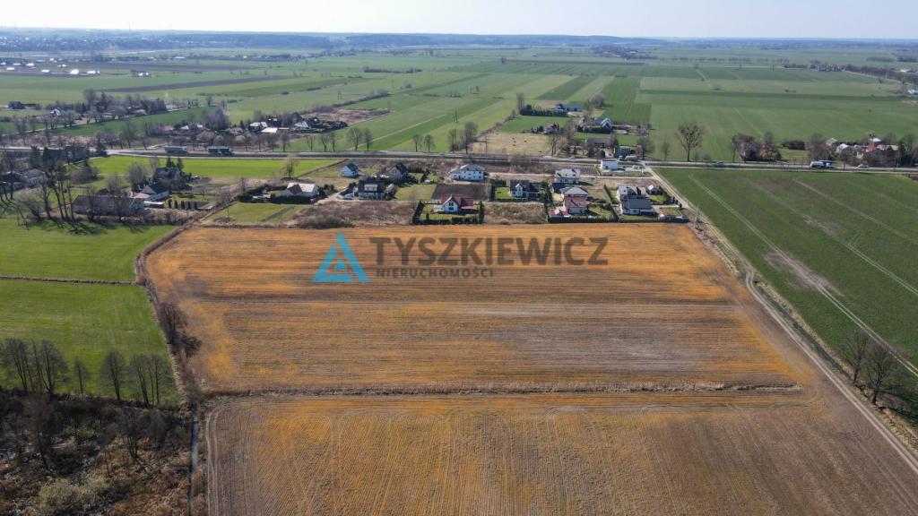Działka rolna idealna pod uprawy - Cisy, Malbork - zdjęcie 11
