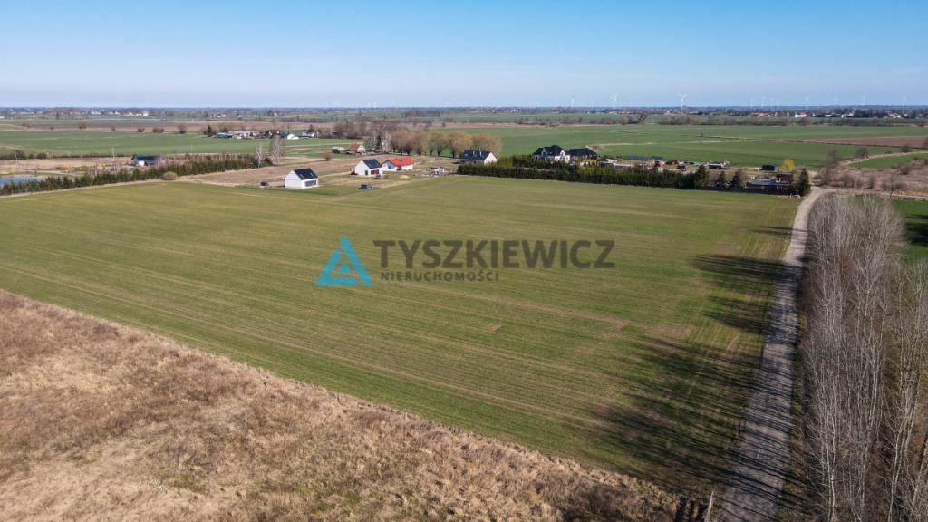 Działki rolne - Czerwone Stogi - zdjęcie 9