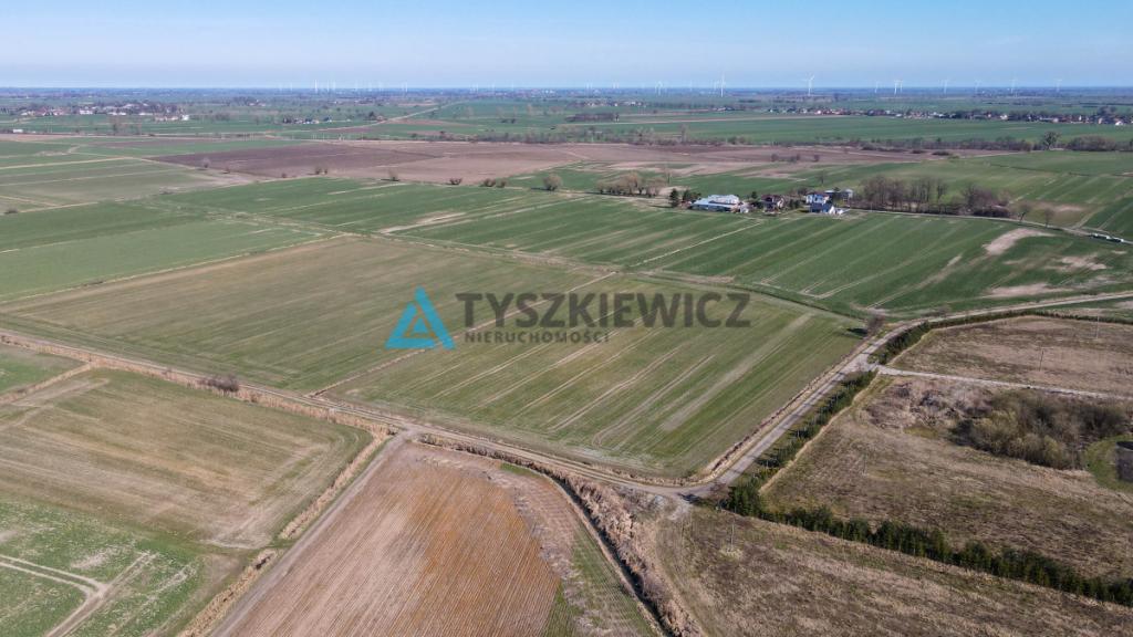3 Działki rolne pod uprawy - Czerwone Stogi - zdjęcie 7