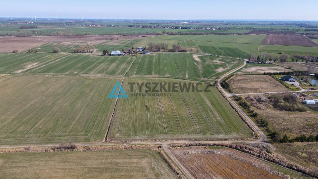 3 Działki rolne pod uprawy - Czerwone Stogi - zdjęcie 8