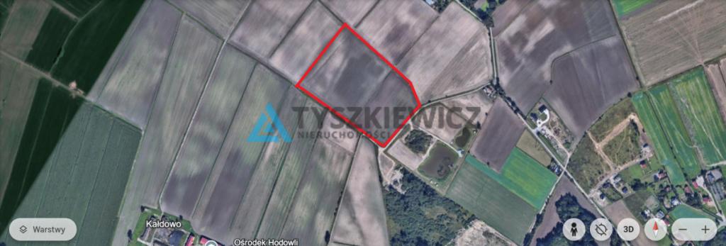 3 Działki rolne pod uprawy - Czerwone Stogi - zdjęcie 2