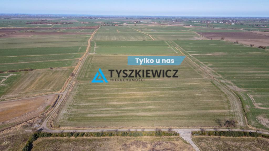 3 Działki rolne pod uprawy - Czerwone Stogi - zdjęcie 1
