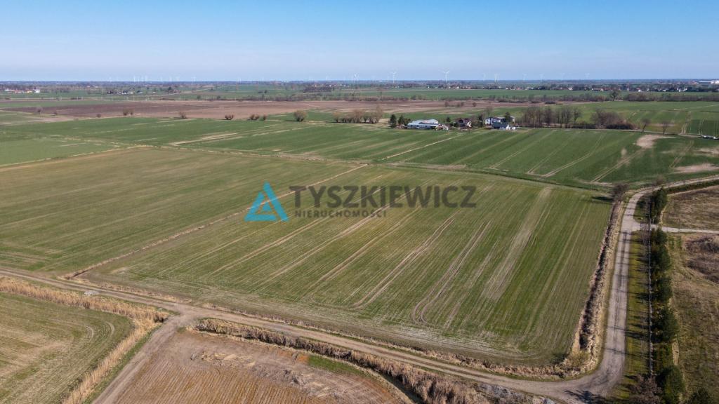 3 Działki rolne pod uprawy - Czerwone Stogi - zdjęcie 5