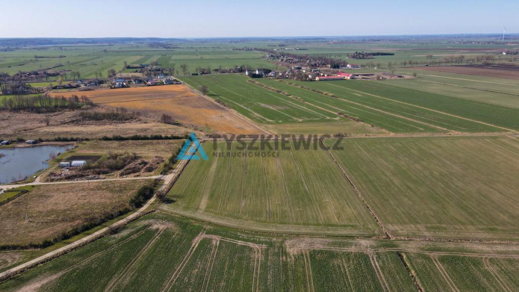 3 Działki rolne pod uprawy - Czerwone Stogi - zdjęcie 12
