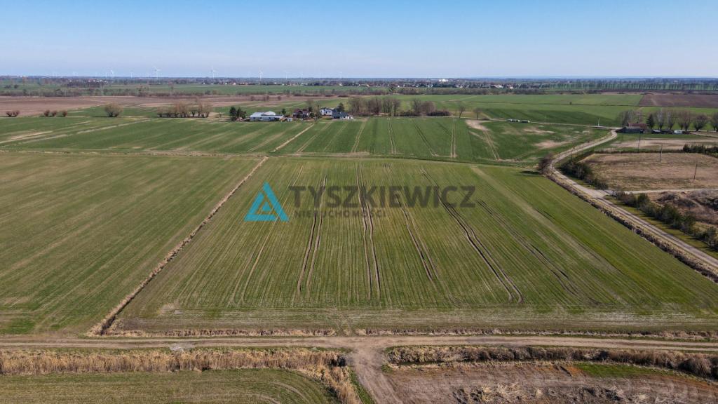 3 Działki rolne pod uprawy - Czerwone Stogi - zdjęcie 6