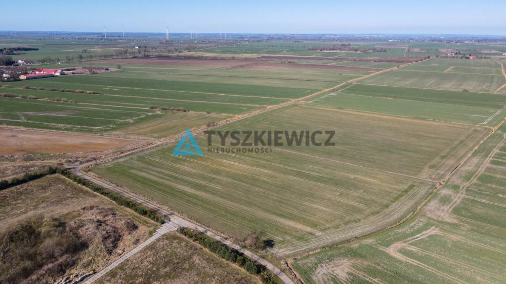 3 Działki rolne pod uprawy - Czerwone Stogi - zdjęcie 4