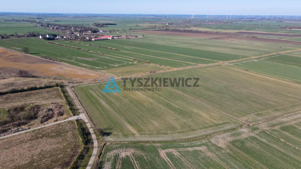 3 Działki rolne pod uprawy - Czerwone Stogi - zdjęcie 3