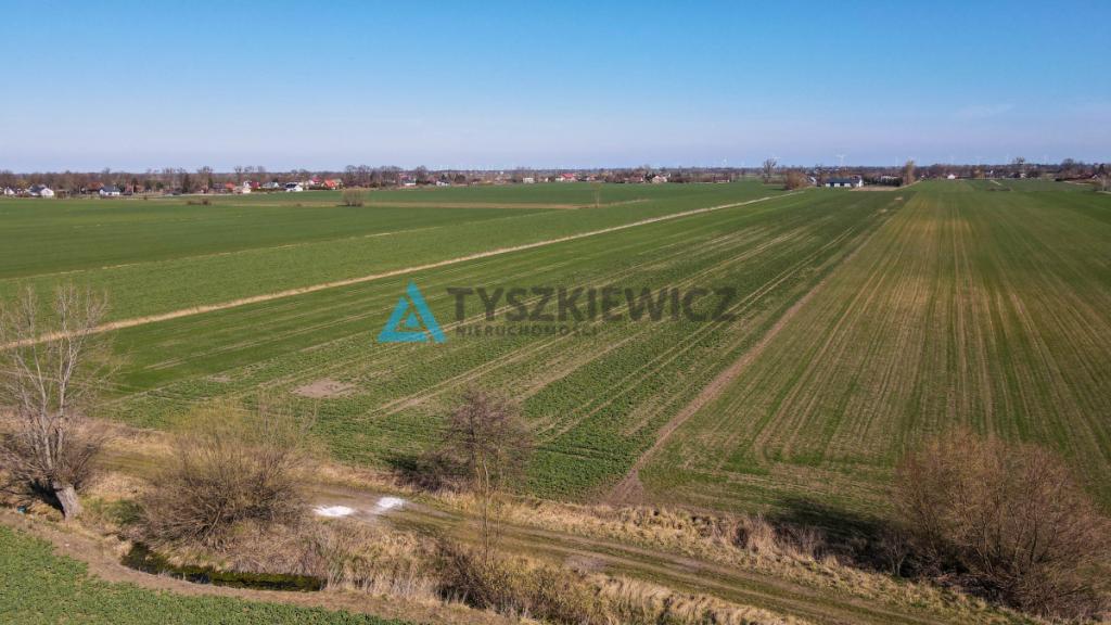 Działka rolna - Cisy, Malbork - zdjęcie 6