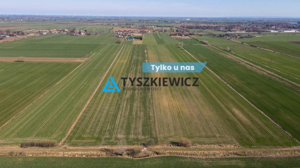 Działka rolna - Cisy, Malbork - zdjęcie 1