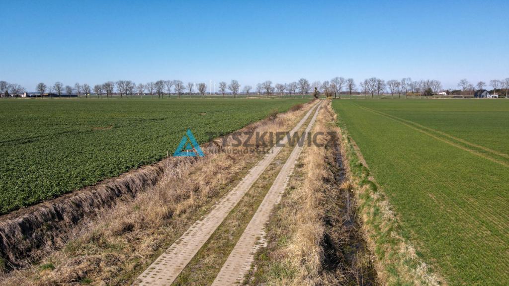 Działka rolna - Cisy, Malbork - zdjęcie 8