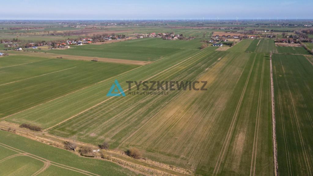 Działka rolna - Cisy, Malbork - zdjęcie 4
