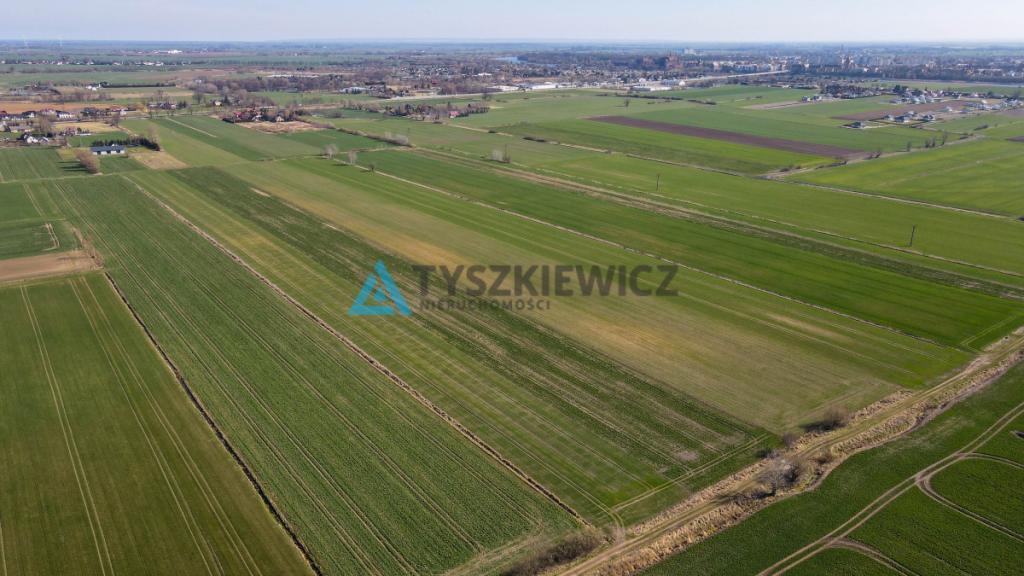 Działka rolna - Cisy, Malbork - zdjęcie 11