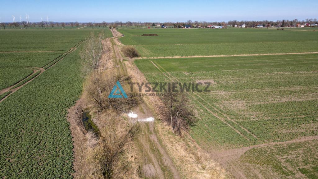 Działka rolna - Cisy, Malbork - zdjęcie 7