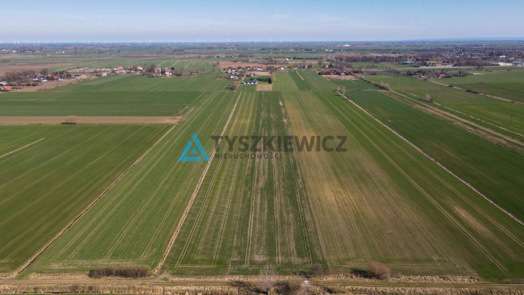 Działka rolna - Cisy, Malbork - zdjęcie 5