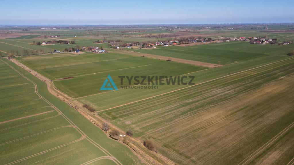 Działka rolna - Cisy, Malbork - zdjęcie 3