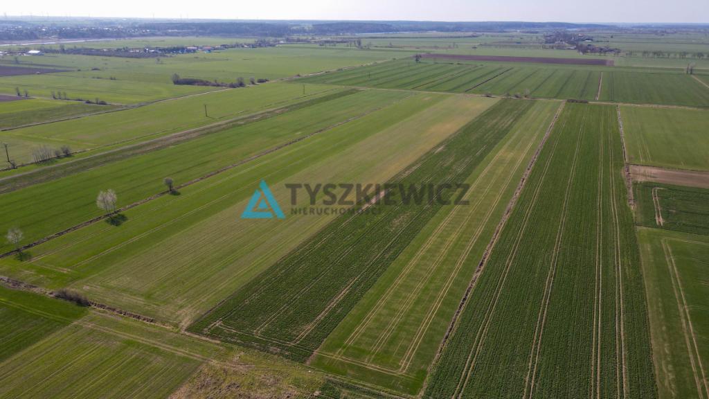 Działka rolna - Cisy, Malbork - zdjęcie 10