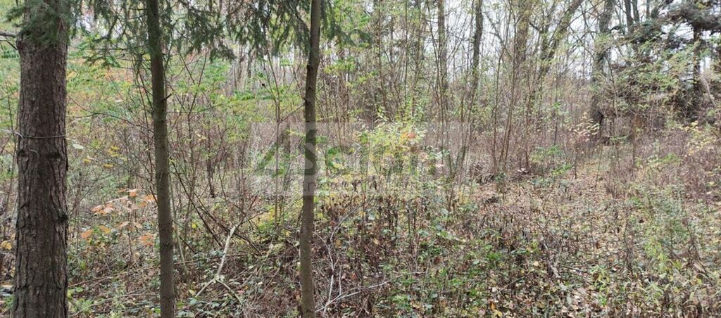 Działka rekreacyjna 3000&nbsp;m², Ojrzanów - zdjęcie 1