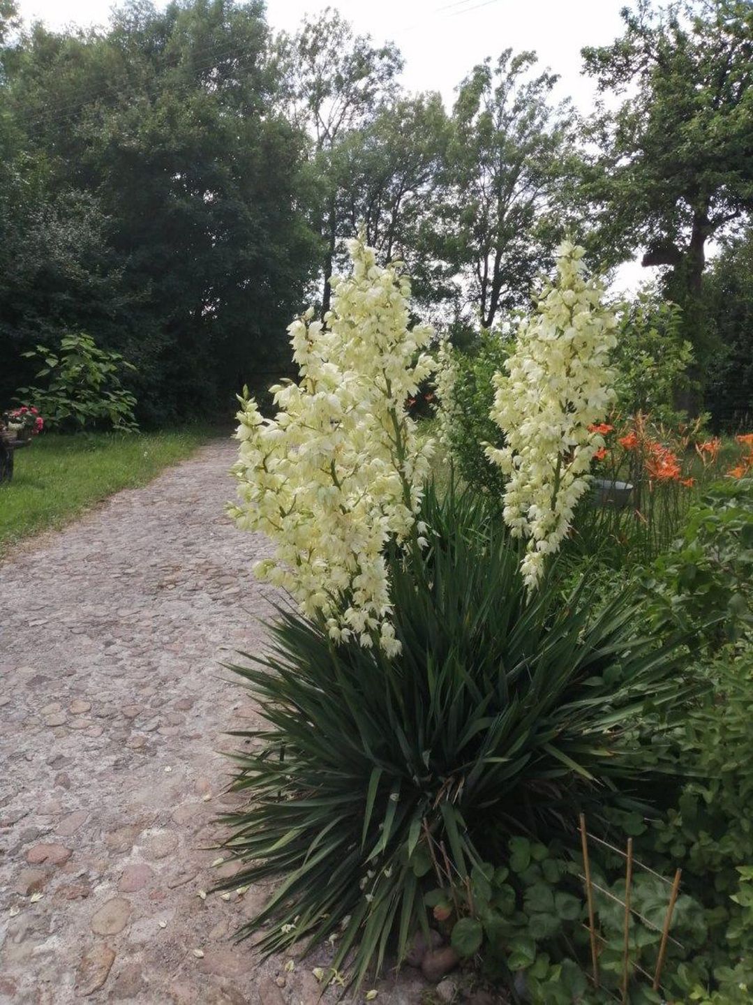 NOWA CENA Dom z duszą w malowniczym miejscu - zdjęcie 12