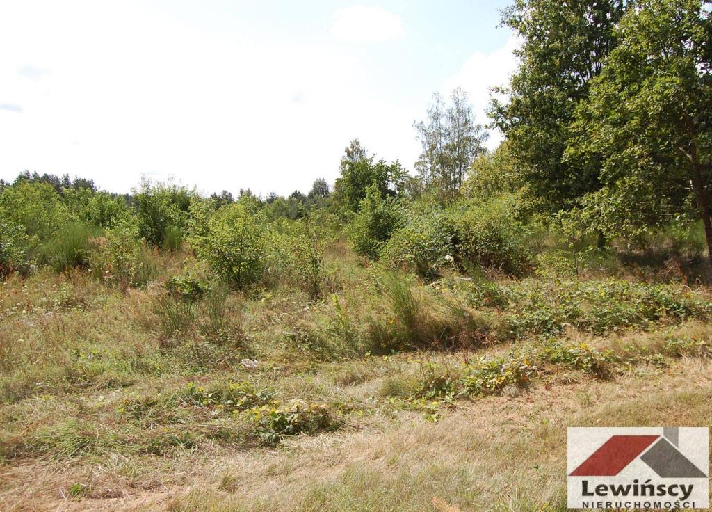 Działka budowlana 1,32&nbsp;ha, Żabia Wola - zdjęcie 4
