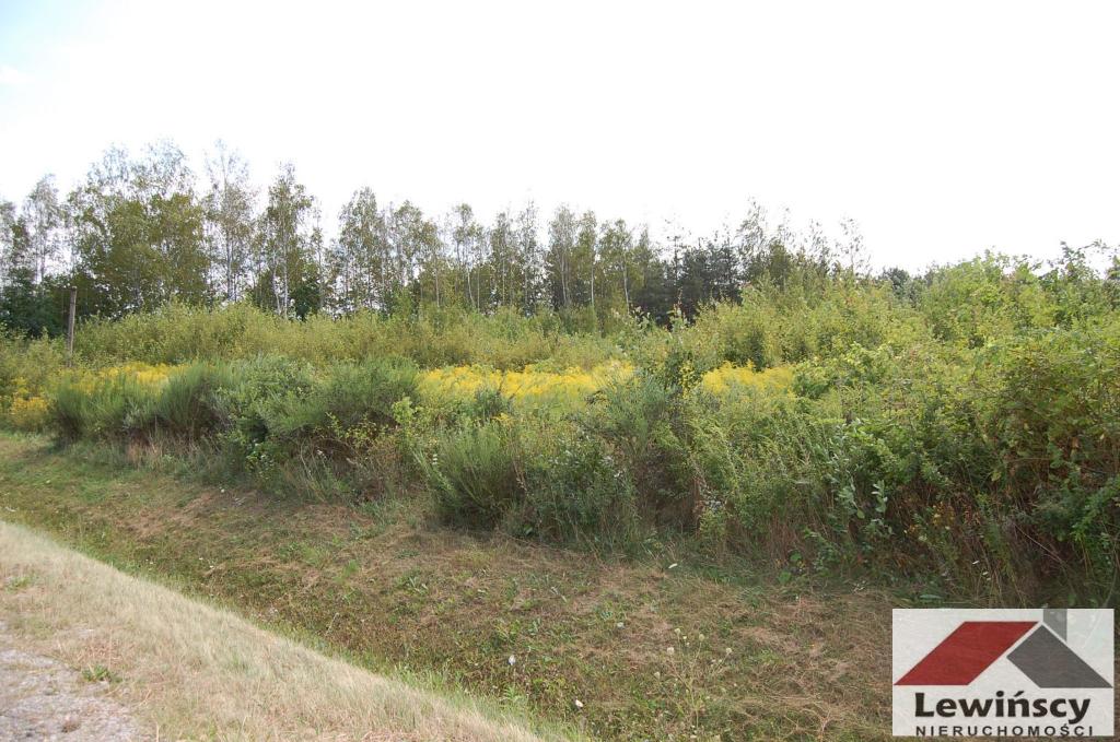 Działka budowlana 1,32&nbsp;ha, Żabia Wola - zdjęcie 3