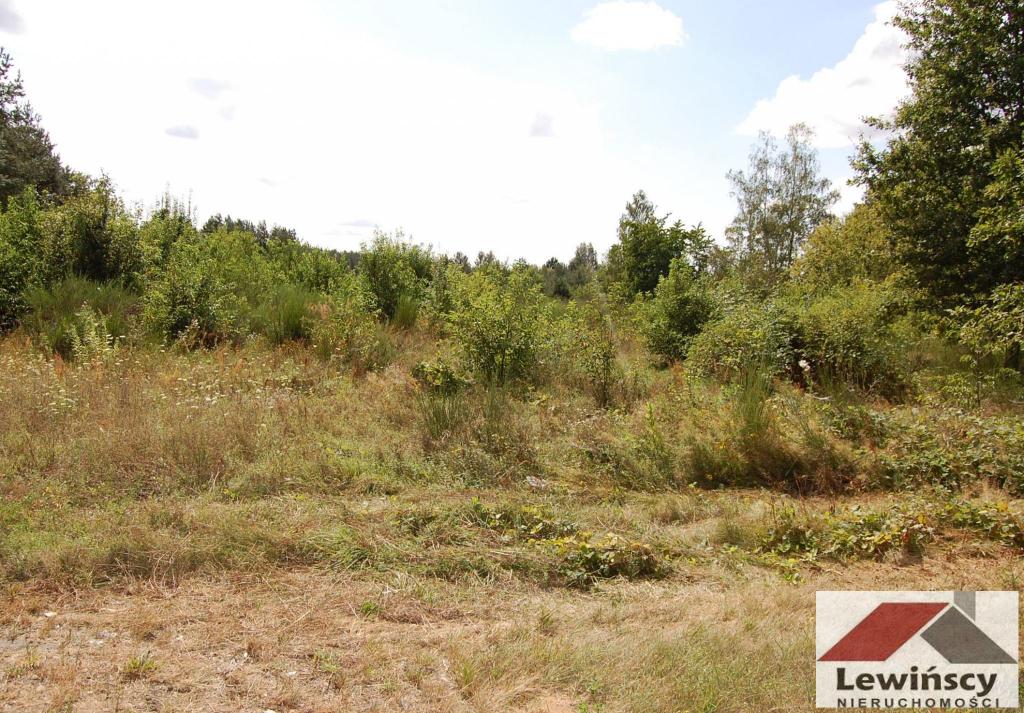 Działka budowlana 1,32&nbsp;ha, Żabia Wola - zdjęcie 6