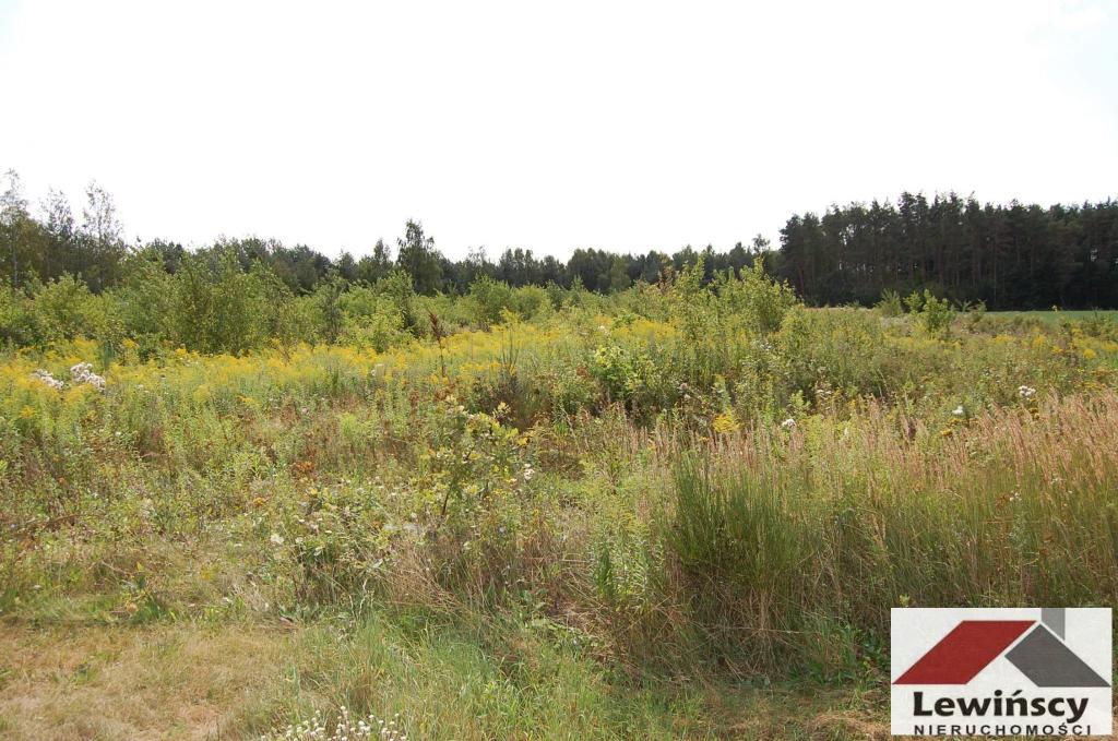 Działka budowlana 1,32&nbsp;ha, Żabia Wola - zdjęcie 1