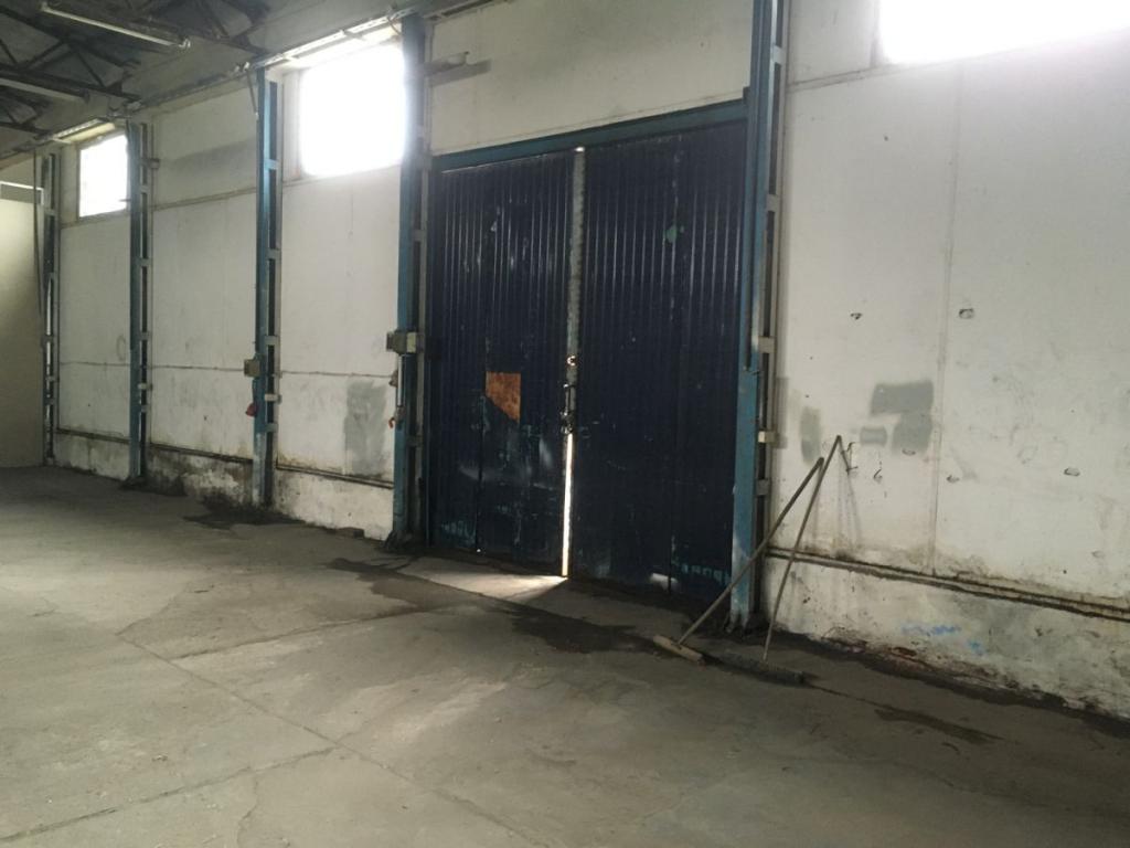 Tani Magazyn, hala - zdjęcie 3