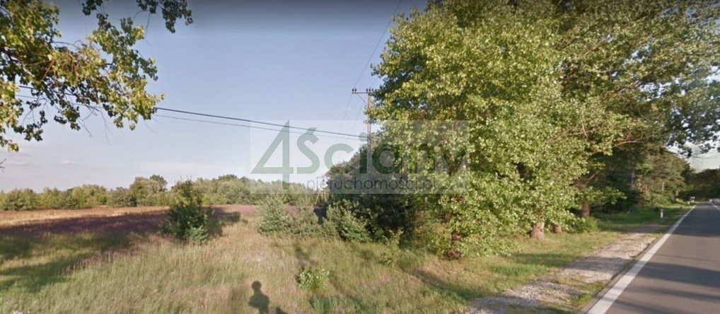 Działka rolna 4446&nbsp;m², Brześce - zdjęcie 2