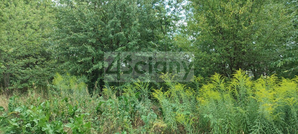 Działka budowlana 971&nbsp;m², Żółwin - zdjęcie 1