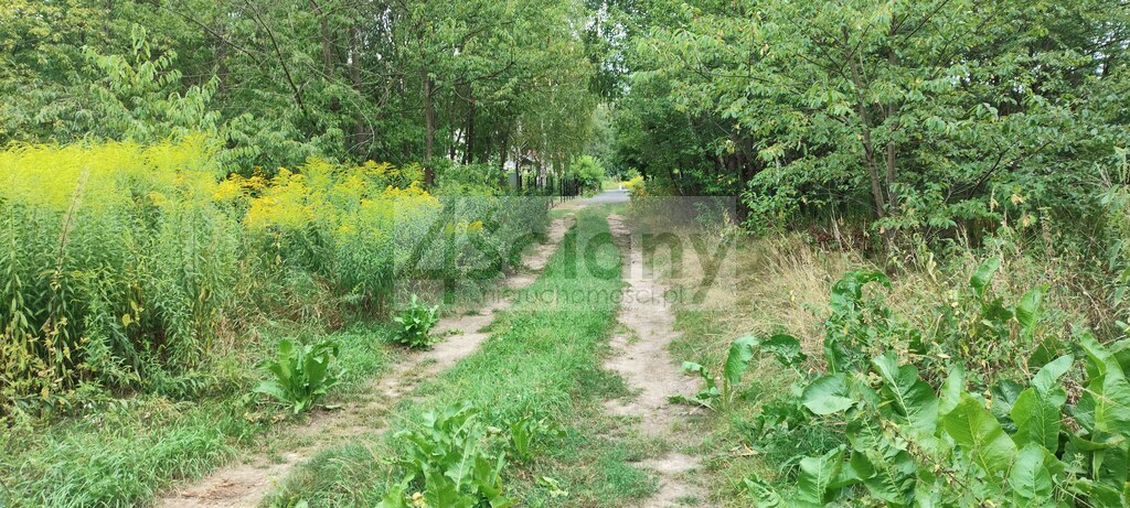 Działka budowlana 971&nbsp;m², Żółwin - zdjęcie 2