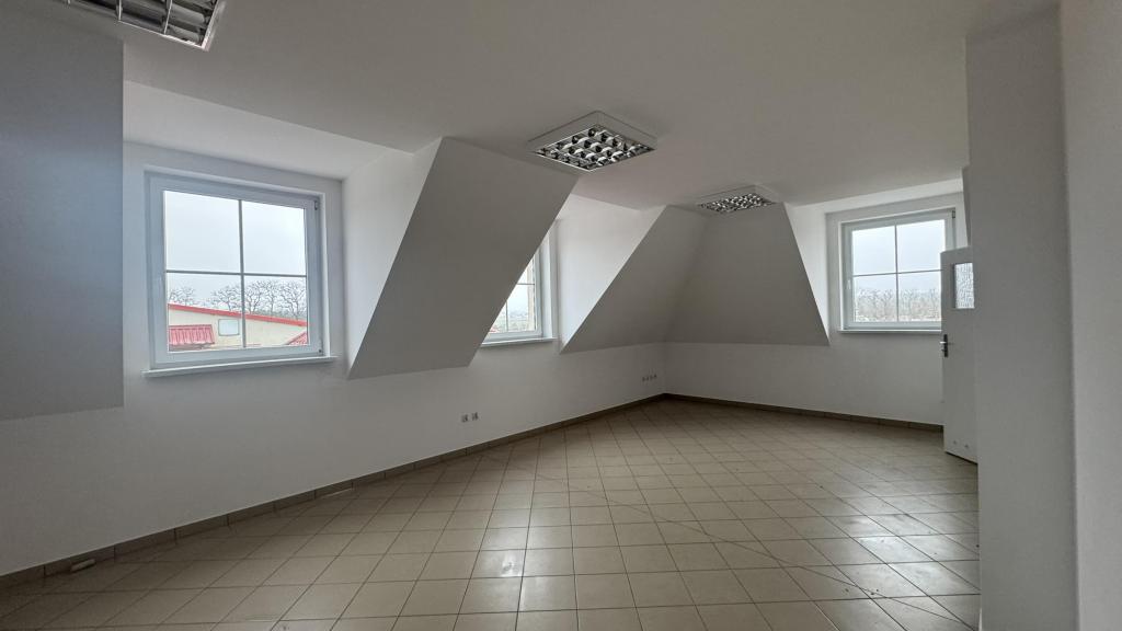 Lokal usługowy na sprzedaż, 1264&nbsp;m², Brzeźnik, al. Główna - zdjęcie 16