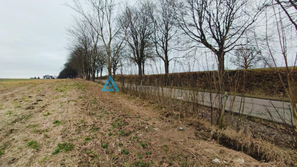 Działka pod zab. jednorodzinną w okolicach Bytowa. - zdjęcie 3