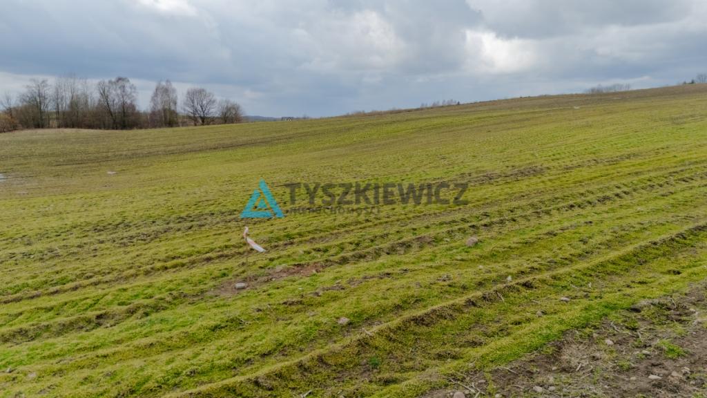Działka pod zab. jednorodzinną w okolicach Bytowa. - zdjęcie 6