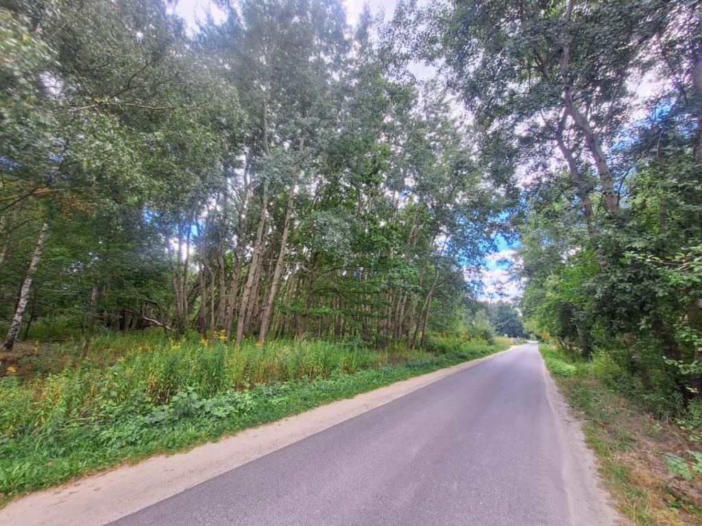 działka budowlana ,obok PKP i lasu - zdjęcie 5