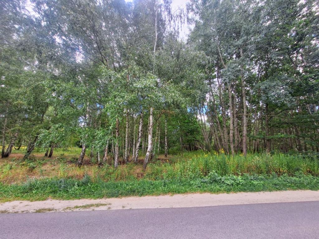 działka budowlana ,obok PKP i lasu - zdjęcie 1